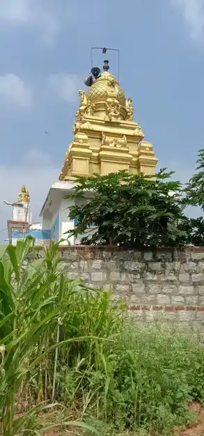 Arulmigu Aancheneyaswamy Temple, Bagalur, Murtiganadinna - 635103 அருள்மிகு ஆஞ்சநேய சுவாமி திருக்கோயில், Bagalur, Murtiganadinna - 635103, Krishnagiri - Ancient Temple Architecture and History Image 4
