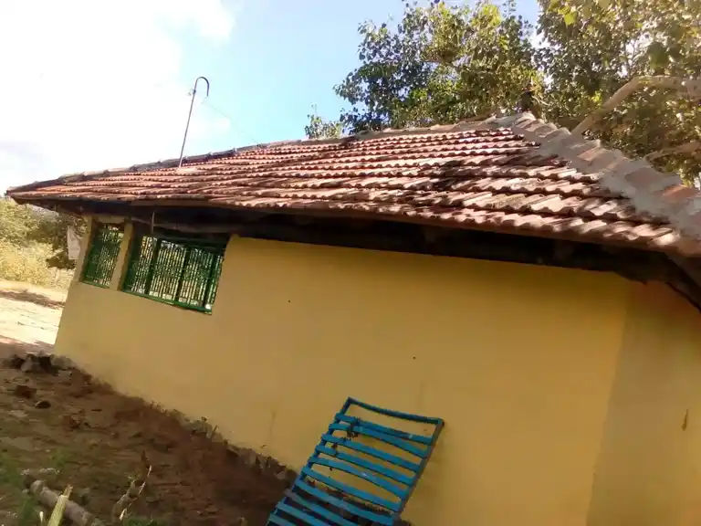 Arulmigu Aandavinayagar Temple, Merpanaikaadu - 614624 அருள்மிகு ஆண்ட விநாயகர் திருக்கோயில், Merpanaikaadu - 614624, Pudukkottai - Ancient Temple Architecture and History Image 4