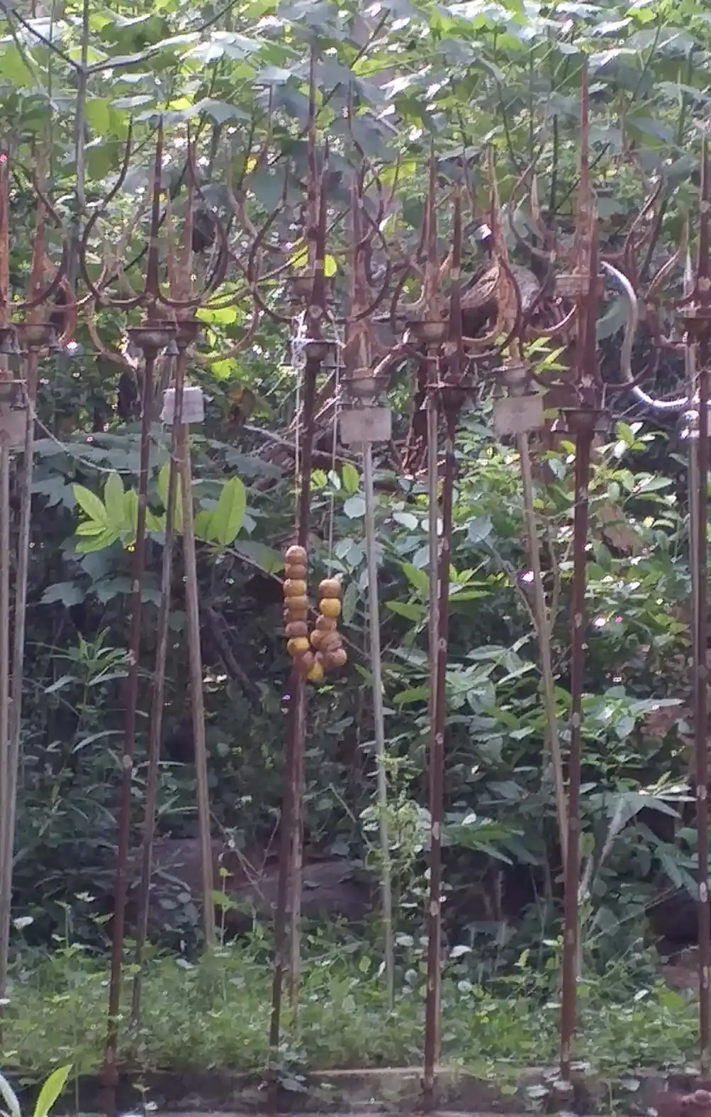 Arulmigu Aandiyappar Temple, Melavannariruppu, Melavannariruppu - 630702