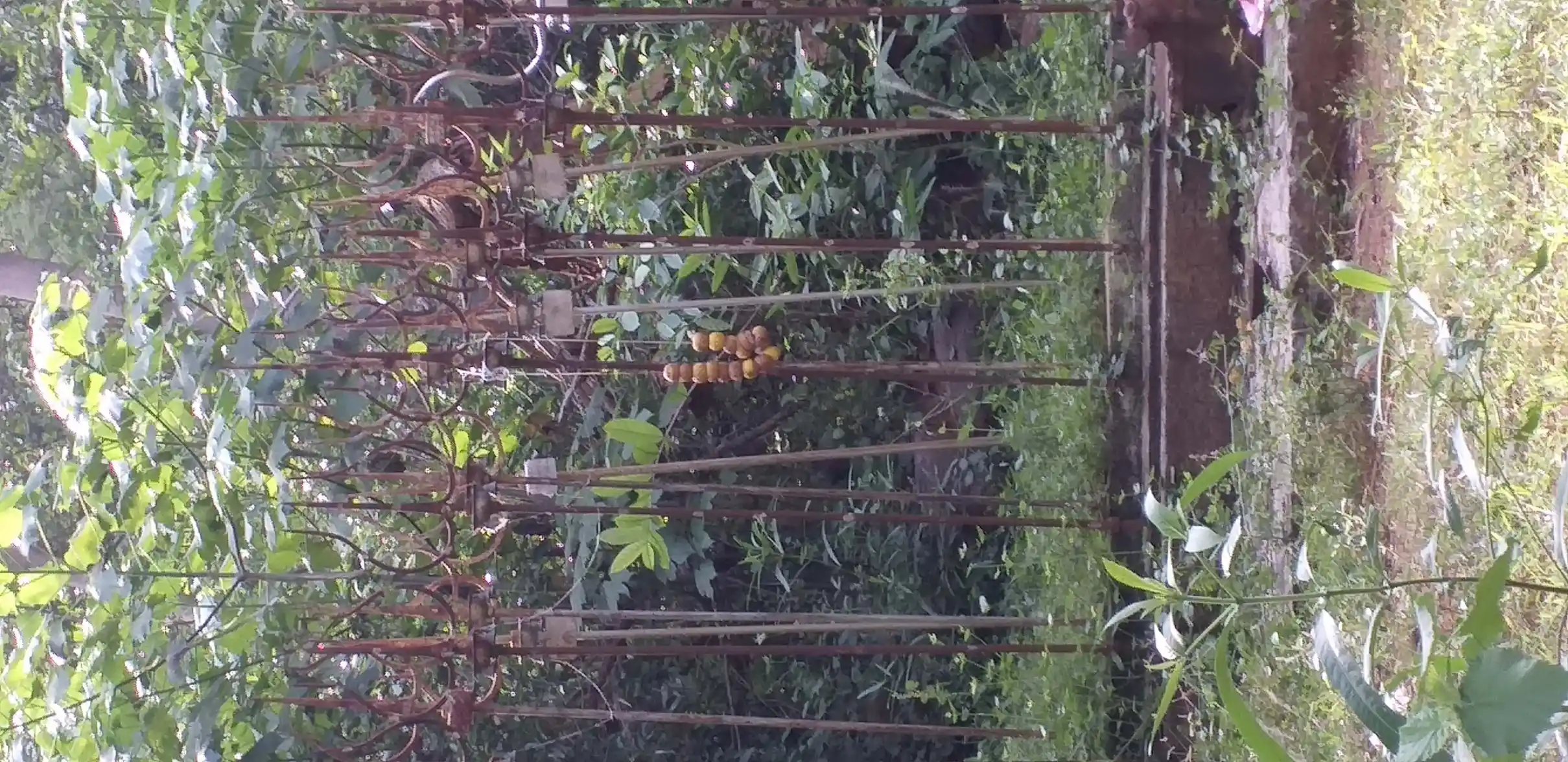 Arulmigu Aandiyappar Temple, Melavannariruppu, Melavannariruppu - 630702 அருள்மிகு ஆண்டியப்பர் திருக்கோயில், Melavannariruppu, Melavannariruppu - 630702, Sivagangai - Ancient Temple Architecture and History Image 3