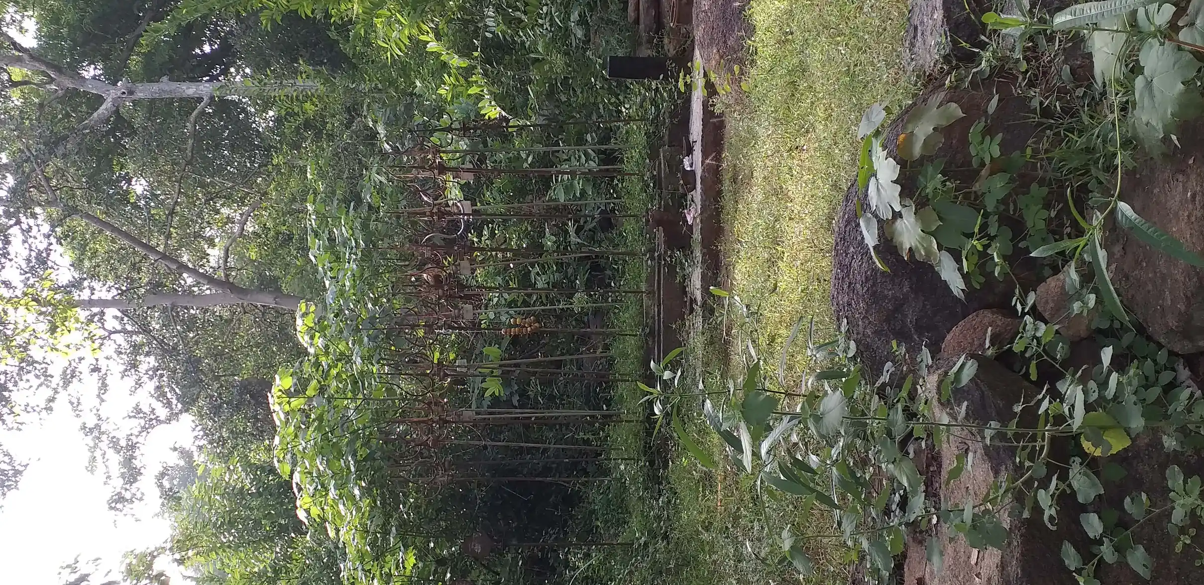 Arulmigu Aandiyappar Temple, Melavannariruppu, Melavannariruppu - 630702 அருள்மிகு ஆண்டியப்பர் திருக்கோயில், Melavannariruppu, Melavannariruppu - 630702, Sivagangai - Ancient Temple Architecture and History Image 4