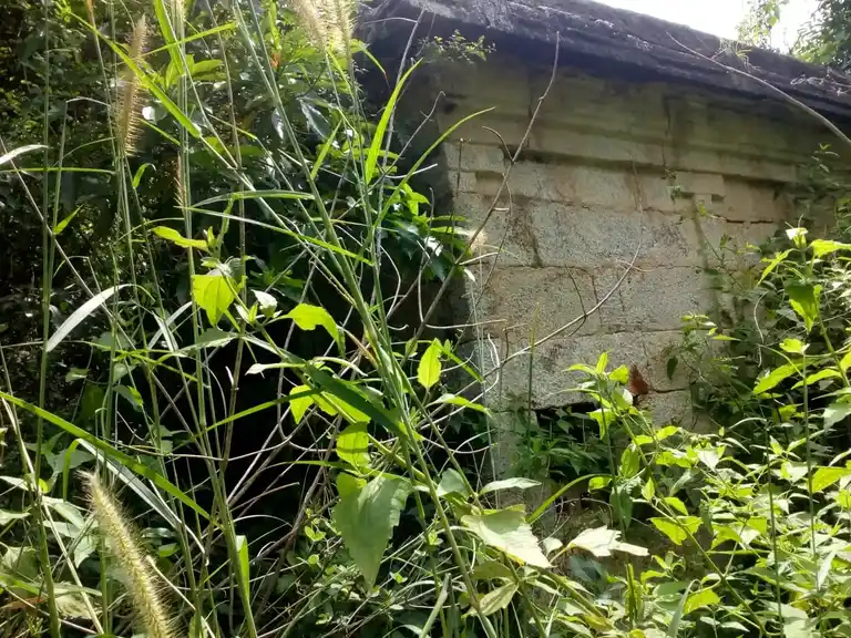 Arulmigu Aandu Konda Vinayagar Temple, Near Siva Temple, Azhagiapandiapuram - 629851 அருள்மிகு ஆண்டு கொண்ட விநயகர் திருக்கோயில், Near Siva Temple, Azhagiapandiapuram - 629851, Kanyakumari - Ancient Temple Architecture and History Image 2