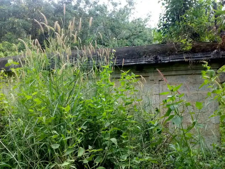 Arulmigu Aandu Konda Vinayagar Temple, Near Siva Temple, Azhagiapandiapuram - 629851 அருள்மிகு ஆண்டு கொண்ட விநயகர் திருக்கோயில், Near Siva Temple, Azhagiapandiapuram - 629851, Kanyakumari - Ancient Temple Architecture and History Image 3