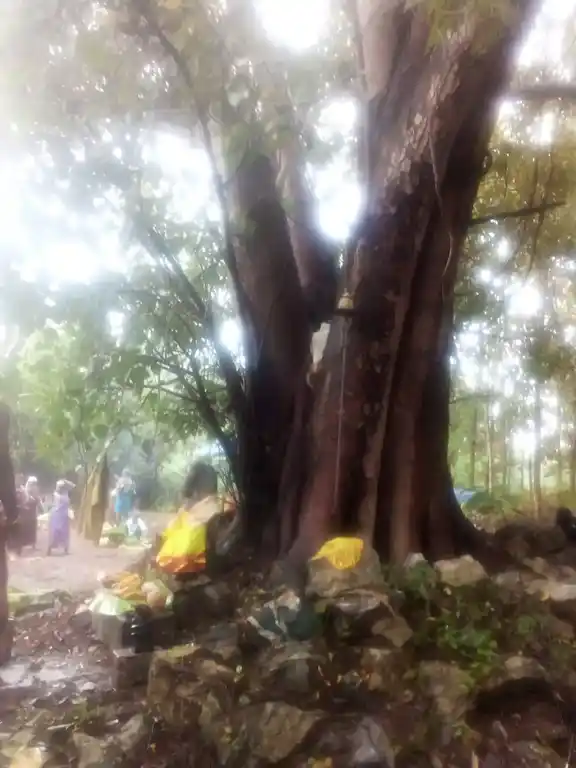 Arulmigu Aapathu Kandan Sastha Temple, Karakandeswaram, Thirunainarkurichi - 629175 Arulmigu Aapathu Kandan Sastha Temple, Karakandeswaram, Thirunainarkurichi - 629175, Kanyakumari - Ancient Temple Architecture and History Image 2