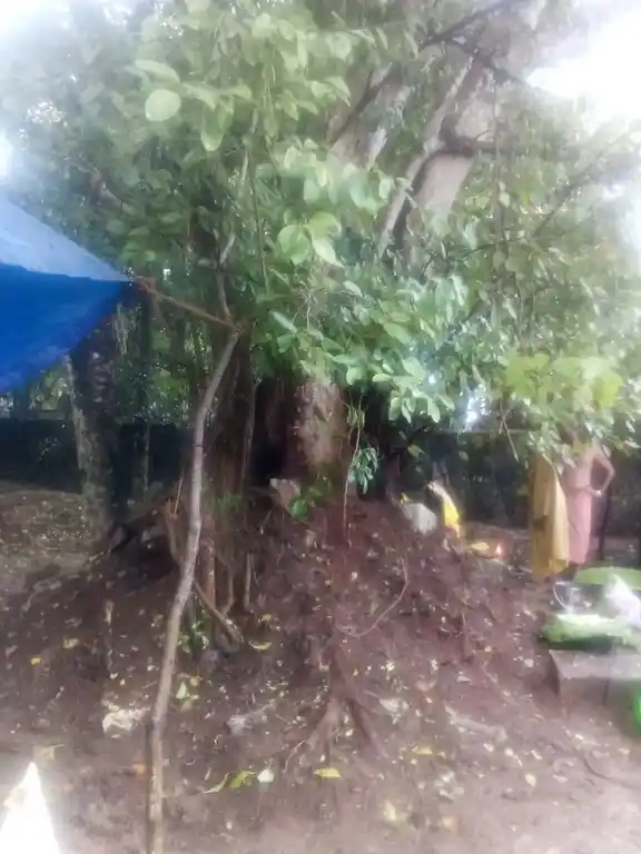 Arulmigu Aapathu Kandan Sastha Temple, Karakandeswaram, Thirunainarkurichi - 629175 Arulmigu Aapathu Kandan Sastha Temple, Karakandeswaram, Thirunainarkurichi - 629175, Kanyakumari - Ancient Temple Architecture and History Image 3