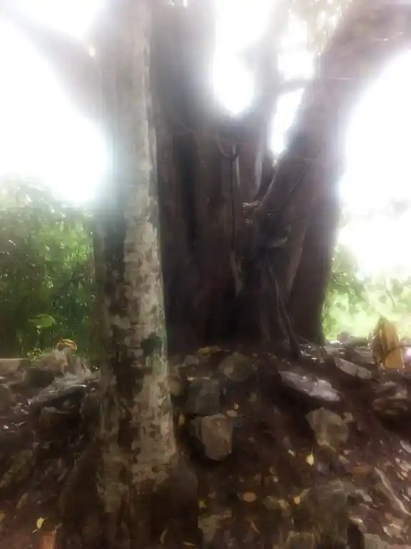 Arulmigu Aapathu Kandan Sastha Temple, Karakandeswaram, Thirunainarkurichi - 629175 Arulmigu Aapathu Kandan Sastha Temple, Karakandeswaram, Thirunainarkurichi - 629175, Kanyakumari - Ancient Temple Architecture and History Image 4