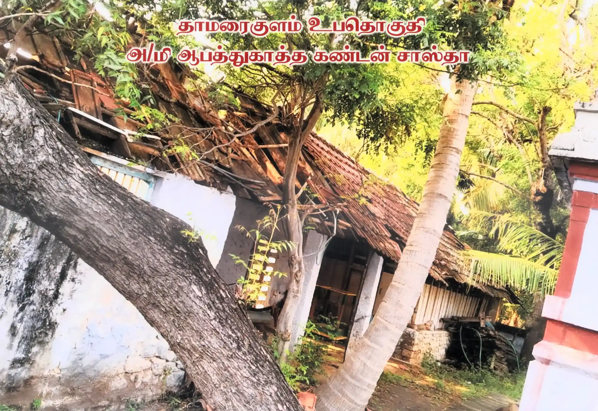 Arulmigu Aapathukatha Kandan Sastha Temple, Thamaraikulam - 629704 Temple