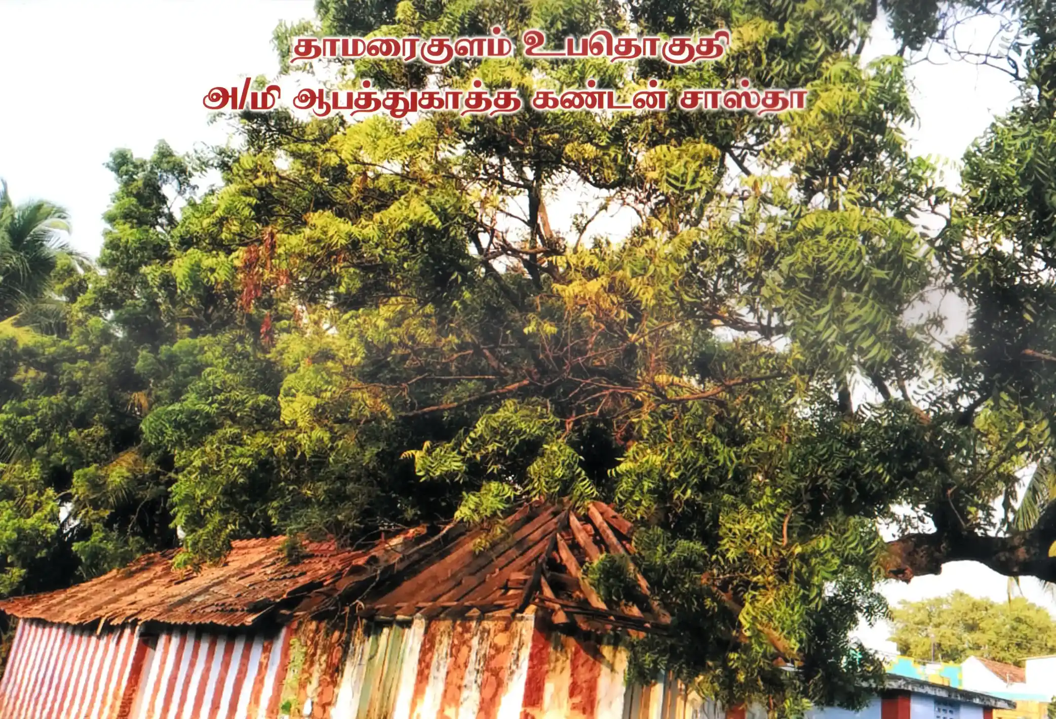 Arulmigu Aapathukatha Kandan Sastha Temple, Thamaraikulam - 629704 Arulmigu Aapathukatha Kandan Sastha Temple, Thamaraikulam - 629704, Kanyakumari - Ancient Temple Architecture and History Image 3