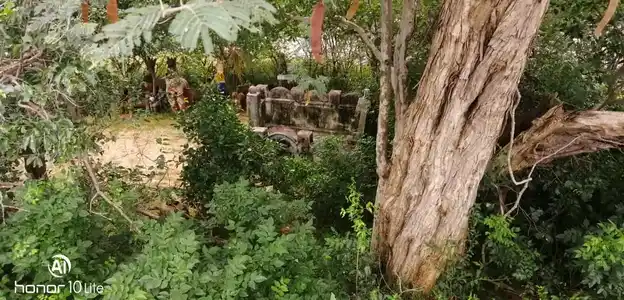 Arulmigu Aaravalli Temple, Vittamaapatti - 621316 அருள்மிகு ஆரவள்ளி திருக்கோயில், விட்டமாபட்டி - 621316, Pudukkottai - Ancient Temple Architecture and History Image 9