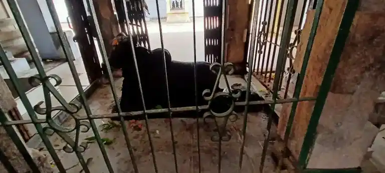 Arulmigu Aatheeswarar Temple, Periyakalanthai - 642202 அருள்மிகு ஆதீஸ்வரர் திருக்கோயில், பெரியக்களந்தை - 642202, Coimbatore - Ancient Temple Architecture and History Image 2