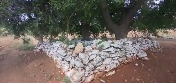 Arulmigu Aathi Venkateshwarar Temple, Kuralkuttai - 642112 அருள்மிகு ஆதிவெங்கடேஸ்வரர் திருக்கோயில், Kuralkuttai - 642112, Tiruppur - Ancient Temple Architecture and History Image 2