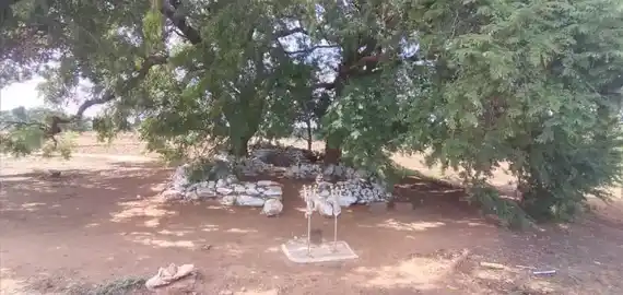 Arulmigu Aathi Venkateshwarar Temple, Kuralkuttai - 642112 அருள்மிகு ஆதிவெங்கடேஸ்வரர் திருக்கோயில், Kuralkuttai - 642112, Tiruppur - Ancient Temple Architecture and History Image 3