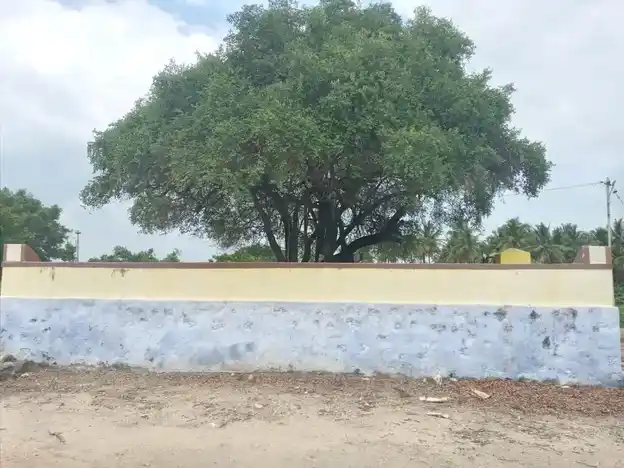 Arulmigu Aathiadi Vinayagar Temple, Varuvadampalayam - 644669 அருள்மிகு அத்தியடி விநாயகர் திருக்கோயில், வெருவேடம்பாளையம் - 644669, Tiruppur - Ancient Temple Architecture and History Image 3