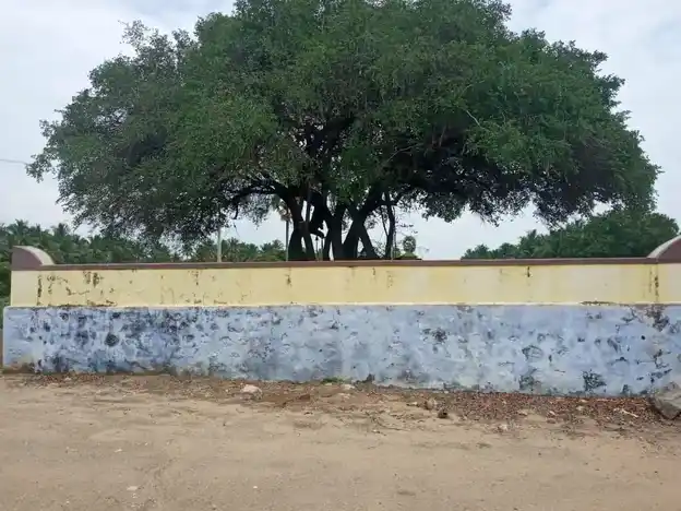 Arulmigu Aathiadi Vinayagar Temple, Varuvadampalayam - 644669 அருள்மிகு அத்தியடி விநாயகர் திருக்கோயில், வெருவேடம்பாளையம் - 644669, Tiruppur - Ancient Temple Architecture and History Image 4