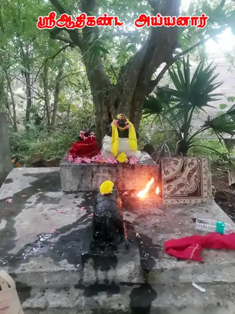 Arulmigu Aathikanda Ayyanar Temple, Shenkottai - 627809