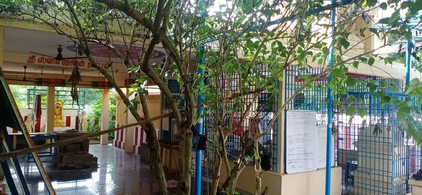 Arulmigu Aathikesava Perumal Temple, Manapakkam - 603111 அருள்மிகு ஆதிகேசவப்பெருமாள் திருக்கோயில், Manapakkam - 603111, Chengalpattu - Ancient Temple Architecture and History Image 4