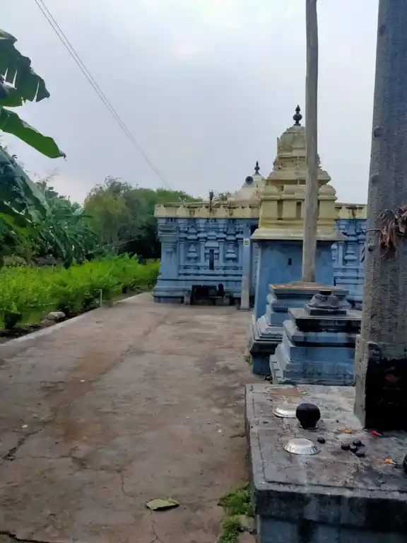 Arulmigu Aathikesavaperumal Temple, Paathiraapuliyur - 604304 அருள்மிகு ஆதிகேசவப்பெருமாள் திருக்கோயில், பாதிராபுலியூர் - 604304, Viluppuram - Ancient Temple Architecture and History Image 3