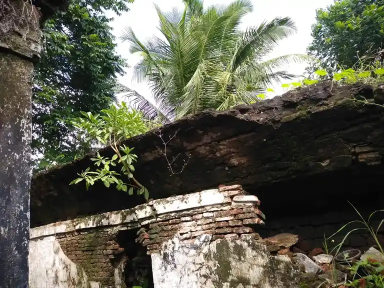 Arulmigu Aathimuleswarar Temple, Agaram - 608502 அருள்மிகு ஆதிமூலேஸ்வரர் திருக்கோயில், அகரம் - 608502, Cuddalore - Ancient Temple Architecture and History Image 21