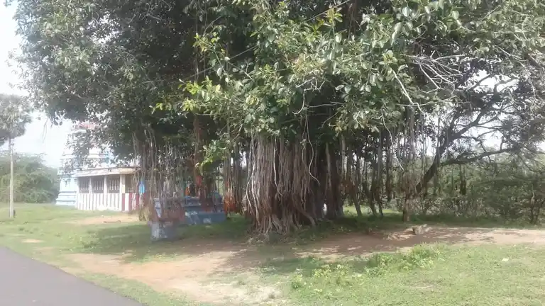 Arulmigu Aathinamilagiya Ayyanar Temple, Thuththaakudi - 623525 அருள்மிகு ஆதினமிளகிய அய்யனார் திருக்கோயில், Thuththaakudi - 623525, Ramanathapuram - Ancient Temple Architecture and History Image 4