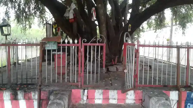 Arulmigu Aathiyadi Karuppar Temple, T.Vairavanpatti - 630211 ஆத்தியடி கருப்பர்திருக்கோவில், T.Vairavanpatti - 630211, Sivagangai - Ancient Temple Architecture and History Image 4