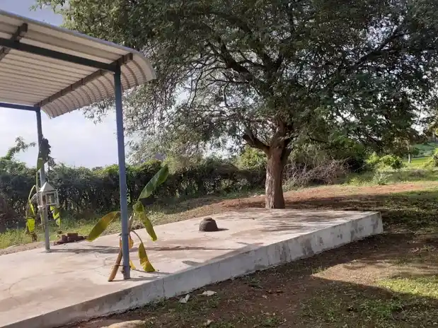 Arulmigu Aayeamman Temple, Kottai Mettupudur - 638104 Temple