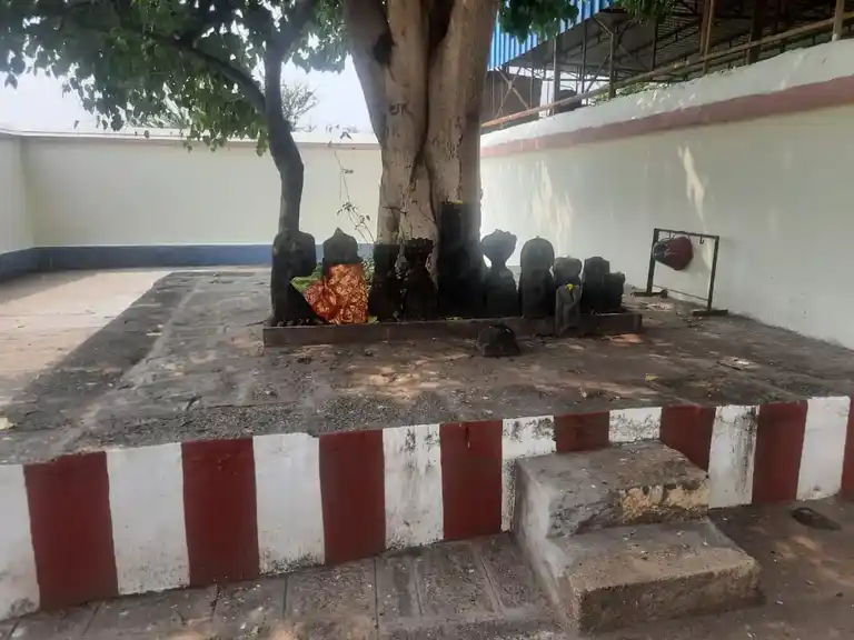 Arulmigu Abaranji Vinayakar Temple, Palani - 624601 அருள்மிகு அபரஞ்சி விநாயகர் திருக்கோயில், பழனி - 624601, Dindigul - Ancient Temple Architecture and History Image 4