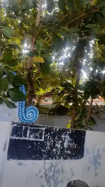 Arulmigu Abathu Kaatthaval Temple, Marungoor - 629402 அருள்மிகு ஆபத்து காத்தவள் திருக்கோயில், Marungoor - 629402, Kanyakumari - Ancient Temple Architecture and History Image 5