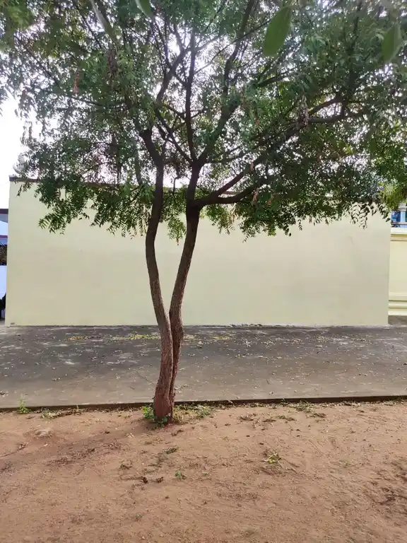 Arulmigu Abishega Kariyaperumal Temple, Selavadai - 636501 Arulmigu Abishega Kariyaperumal Temple, Selavadai - 636501, Salem - Ancient Temple Architecture and History Image 4