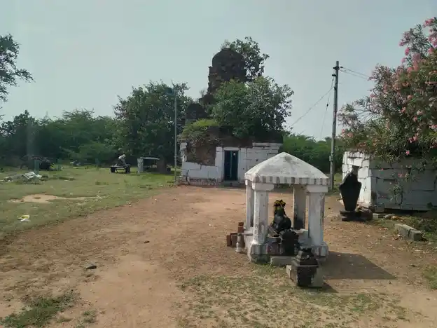 Arulmigu Abiviruttheeswarar Temple, Okkur - 622204 அருள்மிகு அபிவிருத்தீஸ்வரர் திருக்கோயில், Okkur - 622204, Pudukkottai - Ancient Temple Architecture and History Image 5