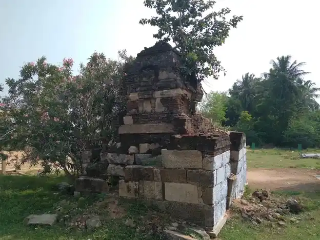 Arulmigu Abiviruttheeswarar Temple, Okkur - 622204 அருள்மிகு அபிவிருத்தீஸ்வரர் திருக்கோயில், Okkur - 622204, Pudukkottai - Ancient Temple Architecture and History Image 6