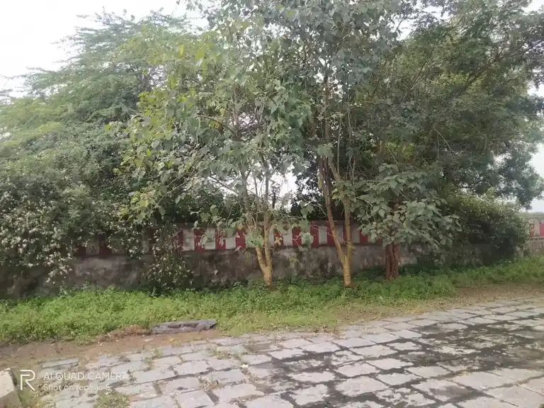 Arulmigu Achudha Narayana Perumal Temple, Pazhanjur - 604404 Arulmigu Achudha Narayana Perumal Temple, Pazhanjur - 604404, Tiruvannamalai - Ancient Temple Architecture and History Image 3