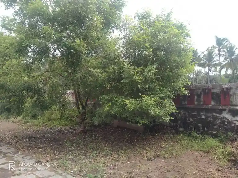 Arulmigu Achudha Narayana Perumal Temple, Pazhanjur - 604404 Arulmigu Achudha Narayana Perumal Temple, Pazhanjur - 604404, Tiruvannamalai - Ancient Temple Architecture and History Image 4