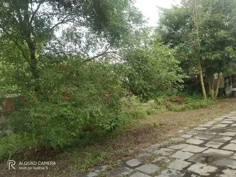 Arulmigu Achudha Narayana Perumal Temple, Pazhanjur - 604404 Arulmigu Achudha Narayana Perumal Temple, Pazhanjur - 604404, Tiruvannamalai - Ancient Temple Architecture and History Image 6