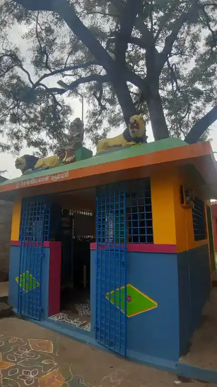 Arulmigu Achuthananda Swami Madam, Wallajah - 632401 அச்சுதானந்தசுவாமி மடத்துடன் இணைந்த அருள்மிகு செலலியம்மன் திருக்கோயில், வாலாசா - 632401, Ranipet - Ancient Temple Architecture and History Image 4