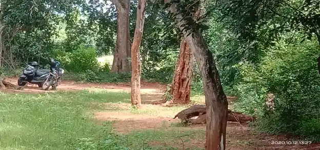 Arulmigu Adaikalam Katha Ayyanaar Temple, Avichipatti - 624401 அருள்மிகு அடைக்கலம் காத்த அய்யனார் திருக்கோயில், Avichipatti - 624401, Dindigul - Ancient Temple Architecture and History Image 2