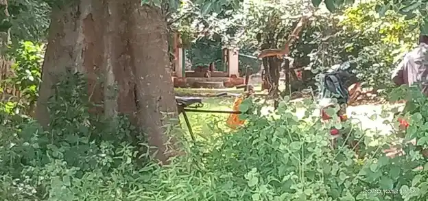 Arulmigu Adaikalam Katha Ayyanaar Temple, Avichipatti - 624401 அருள்மிகு அடைக்கலம் காத்த அய்யனார் திருக்கோயில், Avichipatti - 624401, Dindigul - Ancient Temple Architecture and History Image 4