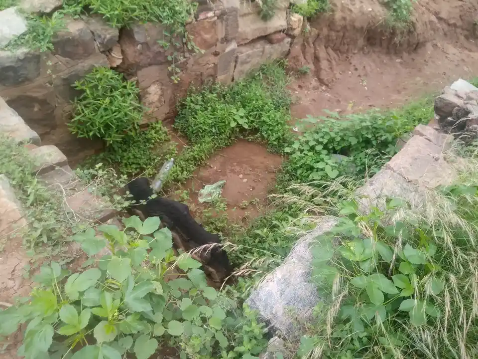 Arulmigu Adaikalam Katha Ayyanar Temple, Nallur - 625022 அருள்மிகு அடைக்கலம் காத்த அய்யனார் திருக்கோயில், நல்லூர் - 625022, Madurai - Ancient Temple Architecture and History Image 3