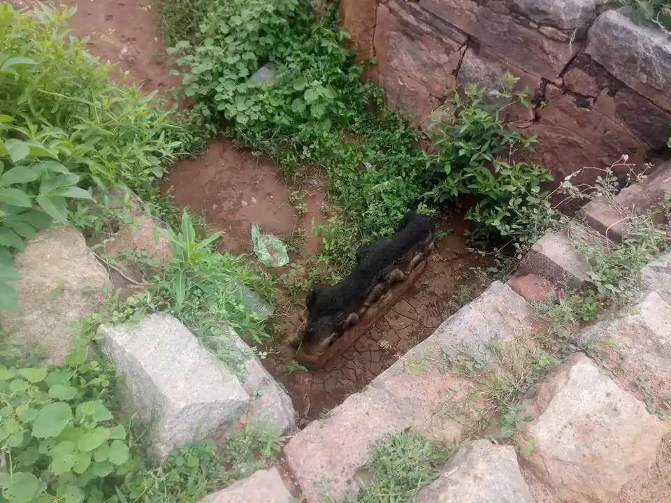 Arulmigu Adaikalam Katha Ayyanar Temple, Nallur - 625022 அருள்மிகு அடைக்கலம் காத்த அய்யனார் திருக்கோயில், நல்லூர் - 625022, Madurai - Ancient Temple Architecture and History Image 5