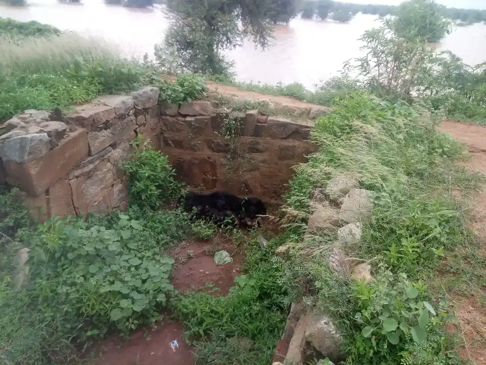 Arulmigu Adaikalam Katha Ayyanar Temple, Nallur - 625022 அருள்மிகு அடைக்கலம் காத்த அய்யனார் திருக்கோயில், நல்லூர் - 625022, Madurai - Ancient Temple Architecture and History Image 7