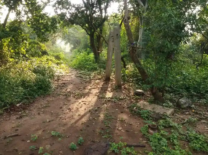Arulmigu Adaikalamkatha Ayyanar Temple, Sokkanathampatti - 613301