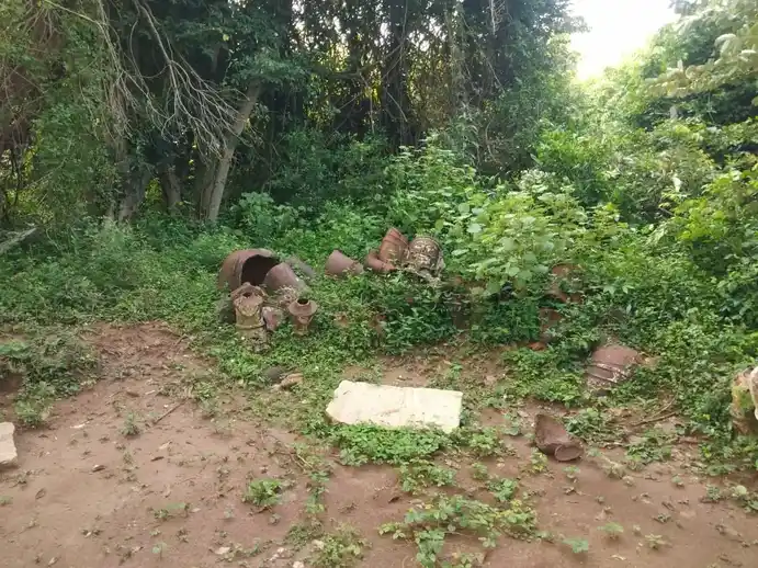 Arulmigu Adaikalamkatha Ayyanar Temple, Sokkanathampatti - 613301 அருள்மிகு அடைக்கலம்காத்த அய்யனார் திருக்கோயில், சாெக்கநாதபட்டி - 613301, Pudukkottai - Ancient Temple Architecture and History Image 2