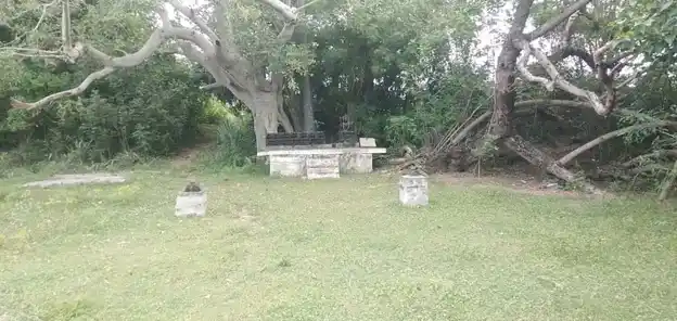 Arulmigu Adaikkalam Kaatha Ayyanar Temple, Aariyur - 622101