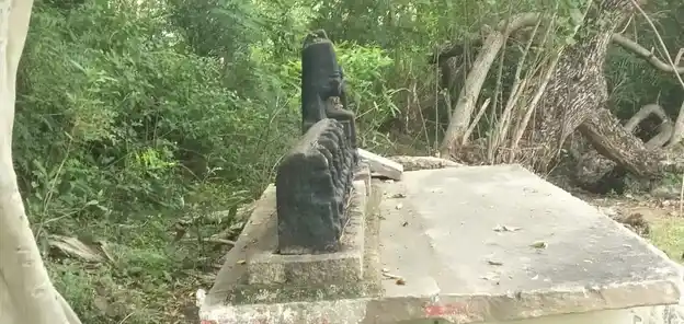 Arulmigu Adaikkalam Kaatha Ayyanar Temple, Aariyur - 622101 அருள்மிகு அடைக்கலம்காத்த அய்யனார் திருக்கோயில், Aariyur - 622101, Pudukkottai - Ancient Temple Architecture and History Image 5