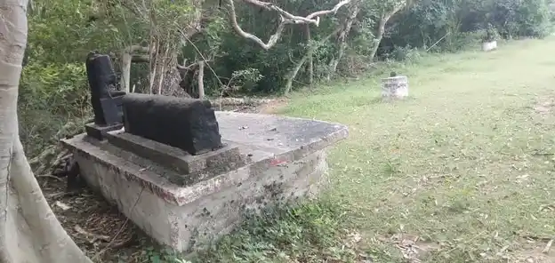 Arulmigu Adaikkalam Kaatha Ayyanar Temple, Aariyur - 622101 அருள்மிகு அடைக்கலம்காத்த அய்யனார் திருக்கோயில், Aariyur - 622101, Pudukkottai - Ancient Temple Architecture and History Image 7