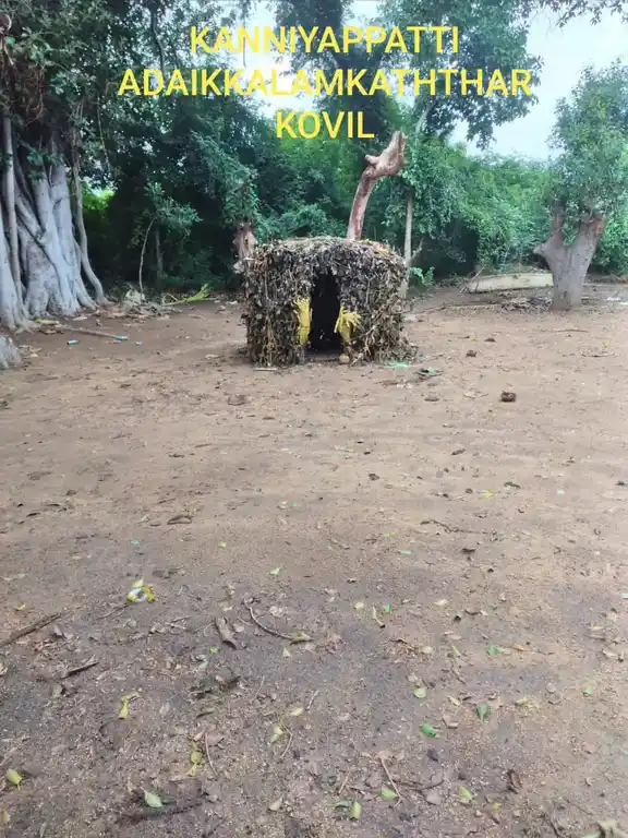 Arulmigu Adaikkalam Kaatha Ayyanar Temple, Kanniyapatti - 622101