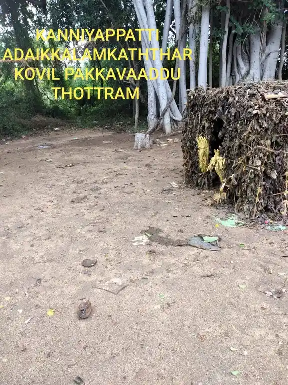 Arulmigu Adaikkalam Kaatha Ayyanar Temple, Kanniyapatti - 622101 அருள்மிகு அடைக்கலம்காத்த அய்யனார் திருக்கோயில், Kanniyapatti - 622101, Pudukkottai - Ancient Temple Architecture and History Image 2