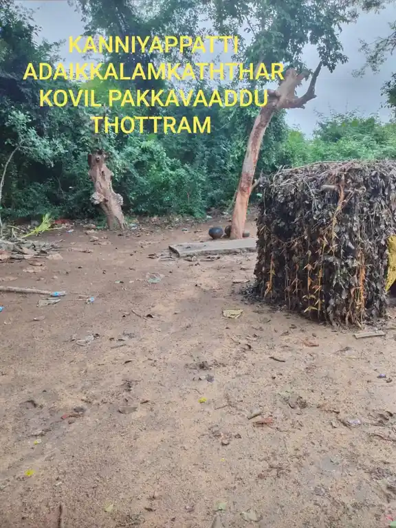 Arulmigu Adaikkalam Kaatha Ayyanar Temple, Kanniyapatti - 622101 அருள்மிகு அடைக்கலம்காத்த அய்யனார் திருக்கோயில், Kanniyapatti - 622101, Pudukkottai - Ancient Temple Architecture and History Image 3