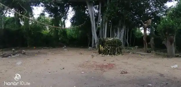 Arulmigu Adaikkalam Kaatha Ayyanar Temple, Kanniyapatti - 622101 அருள்மிகு அடைக்கலம்காத்த அய்யனார் திருக்கோயில், Kanniyapatti - 622101, Pudukkottai - Ancient Temple Architecture and History Image 4