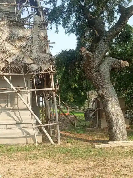 Arulmigu Adaikkalam Kaattha Ayyanar Temple, Velivayal - 614618 அருள்மிகு அடைக்கலம்காத்த அய்யனார் திருக்கோயில், Velivayal - 614618, Pudukkottai - Ancient Temple Architecture and History Image 6