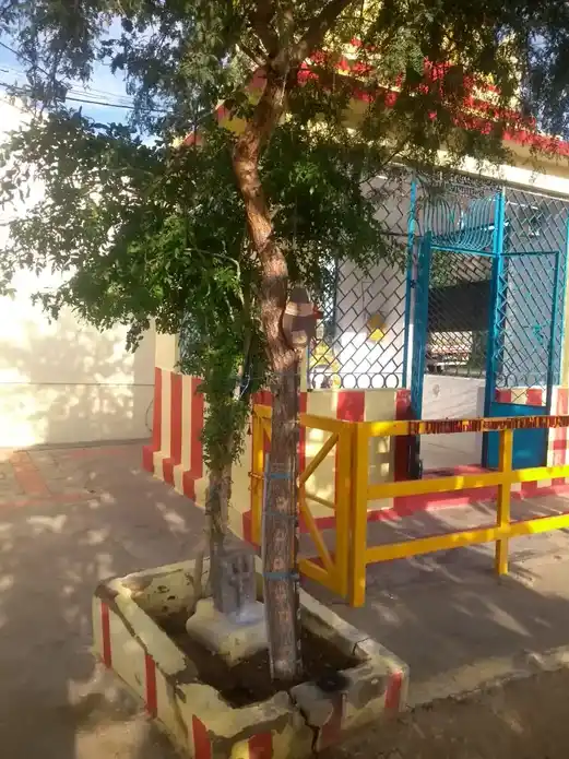 Arulmigu Adayaalavel Temple, Chathirapatti - 624614 அருள்மிகு அடையாளவேல் கோயில், சத்திரப்பட்டி - 624614, Dindigul - Ancient Temple Architecture and History Image 6